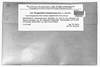 Phragmidium sanguisorbae image